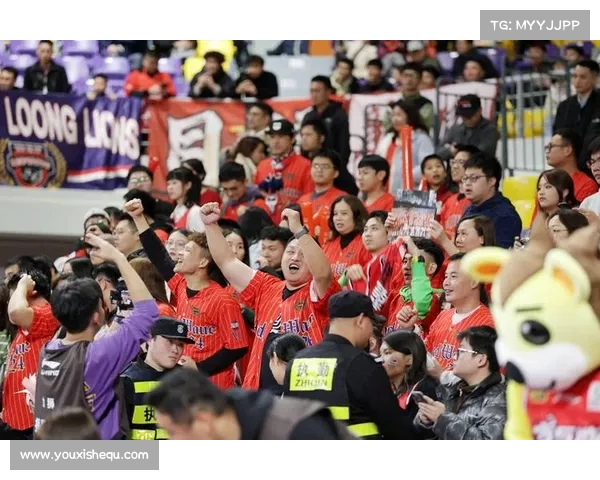 激情澎湃CBA现场观赛体验畅游感受篮球魅力热血沸腾的赛场盛宴